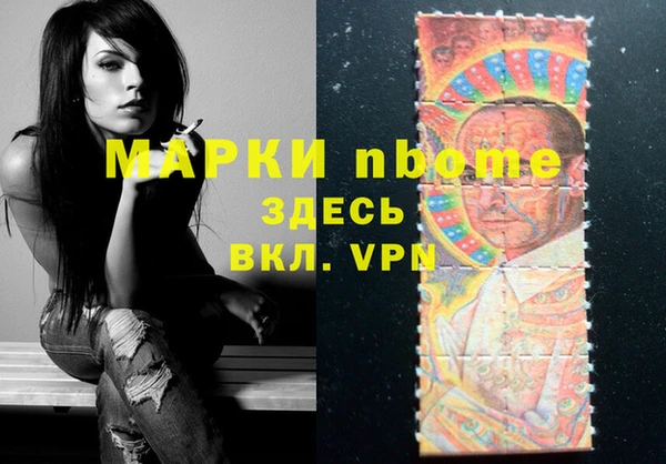 спиды Ельня