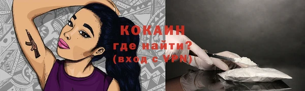 спиды Ельня