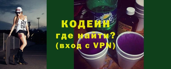 спиды Ельня