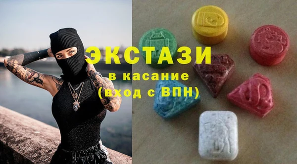 спиды Ельня