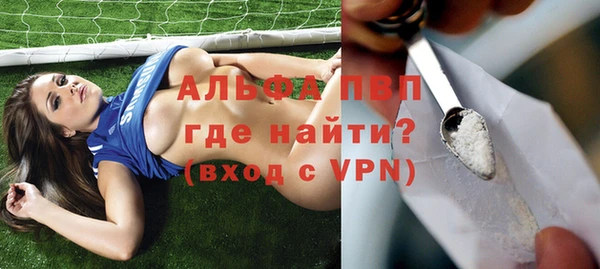 мяу мяу мука Елизово