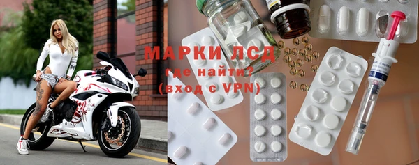 спиды Ельня