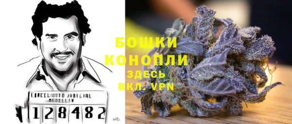 мяу мяу мука Елизово