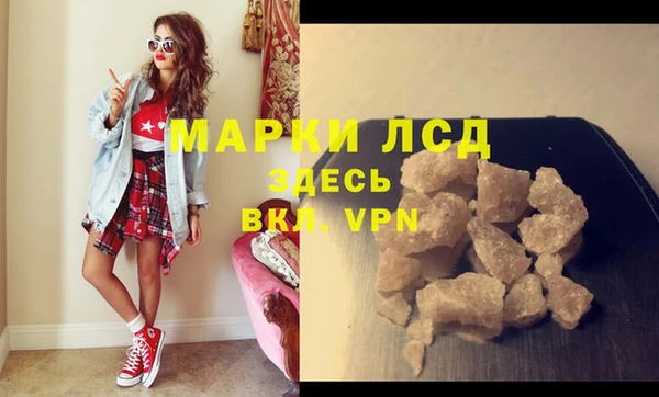 спиды Ельня
