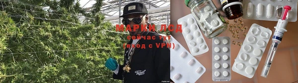 мяу мяу мука Елизово